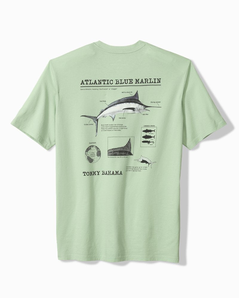 Big & Tall For Your Finformation Graphic T-Shirt - Silky Green