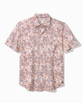 Big & Tall San Lucio Valega Stretch Knit Shirt - Wild Aster
