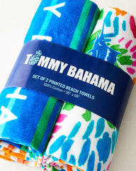 Beach Picnic & Painterly Pineapple Beach Towels - Set of 2 - Multicolor