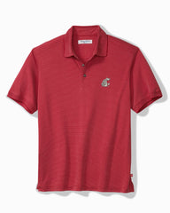 Collegiate Bay Stripe IslandZone Polo - washington_state