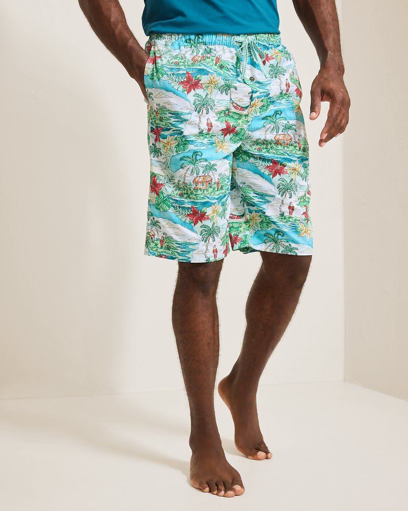 Big & Tall Woven Tropical Print Pajama Shorts - Big Sky Blue