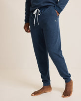 Big & Tall Textured Twill Stripe Joggers - Dark Moonlight