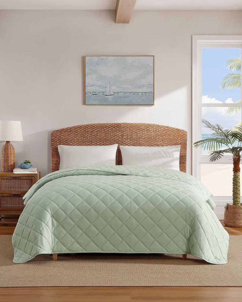 Cool Zone King Throw Blanket - Light Green