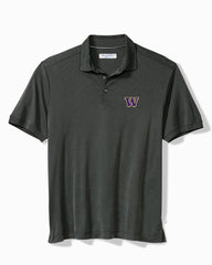 Big &amp; Tall Collegiate Bay Stripe IslandZone Polo - washington