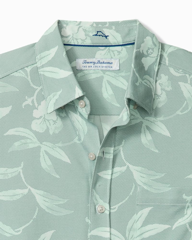 Big &amp; Tall San Lucio Gardenia Stretch Knit Shirt - Tropical Fern