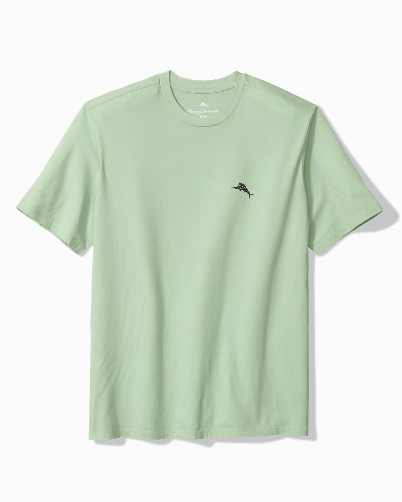 Big &amp; Tall For Your Finformation Graphic T-Shirt - Silky Green