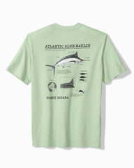Big &amp; Tall For Your Finformation Graphic T-Shirt - Silky Green