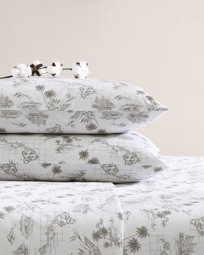 Vintage Map 4-Piece Queen Sheet Set - Brown