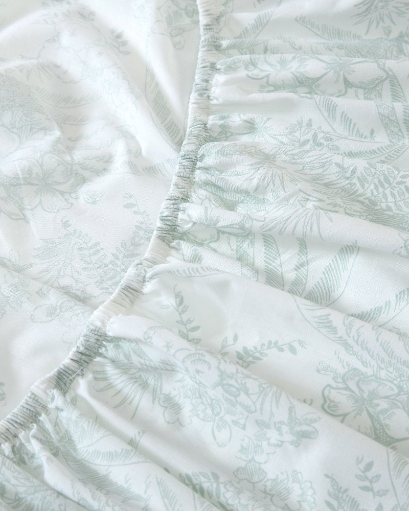 Pen and Ink 4-Piece Queen Sheet Set - Spring Green
