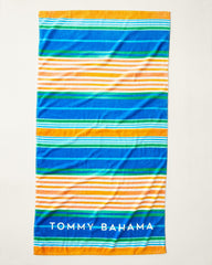 Beach Picnic &amp; Painterly Pineapple Beach Towels - Set of 2 - Multicolor