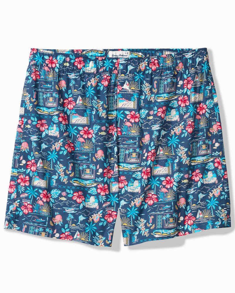 Big &amp; Tall Woven Poplin Print Boxers - Navy