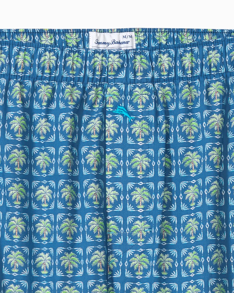Big &amp; Tall Woven Poplin Print Boxers - Denim