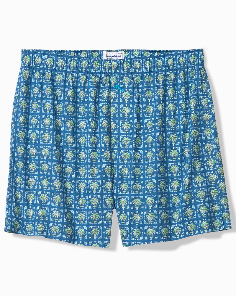 Big &amp; Tall Woven Poplin Print Boxers - Denim