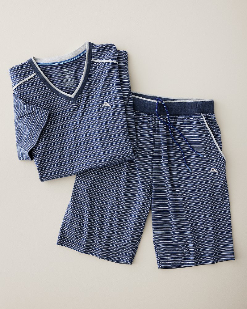 Big &amp; Tall Jersey Short-Sleeve V-Neck T-Shirt - Stripe Blue