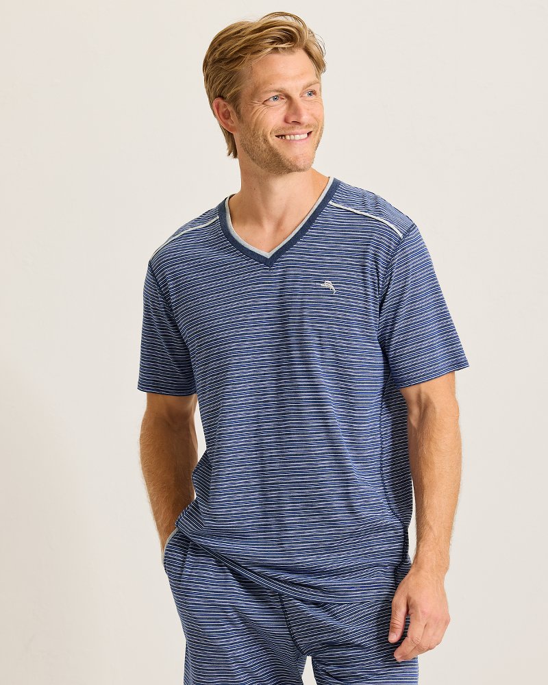 Big &amp; Tall Jersey Short-Sleeve V-Neck T-Shirt - Stripe Blue