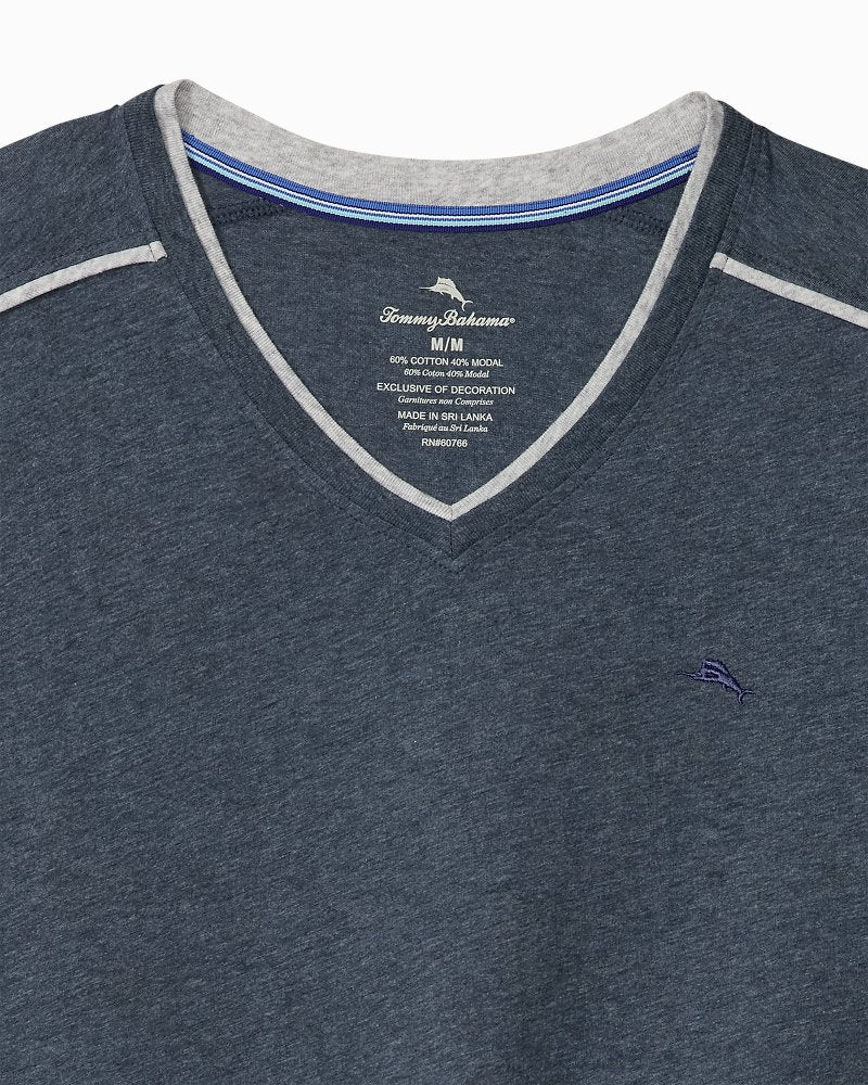 Big &amp; Tall Jersey Short-Sleeve V-Neck T-Shirt - Heathered Blue