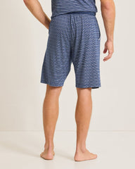 Big &amp; Tall Jersey Lounge Shorts - Stripe Blue