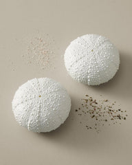 Sea Urchin Salt &amp; Pepper Set - White