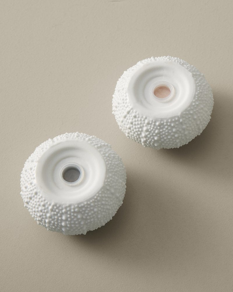 Sea Urchin Salt &amp; Pepper Set - White